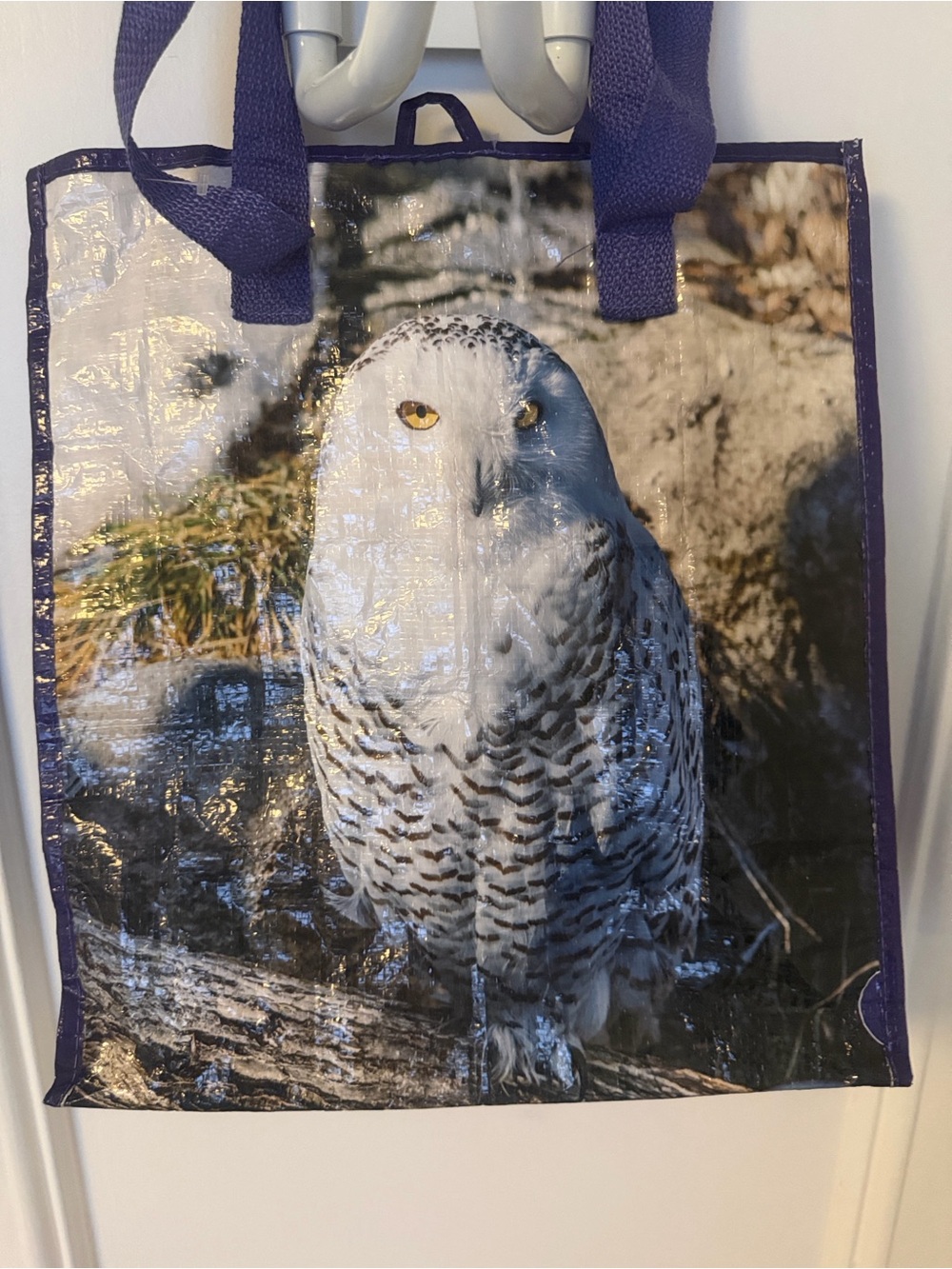 Snowy Owl Print Tote Bag in Purple